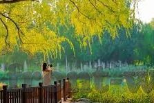 乐鱼体育集锦视频下载-乐鱼体育集锦，尽在掌握，精彩瞬间无处可藏
