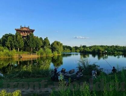 足球单场比分预测-足球单场比分预测，揭秘背后的逻辑与科学方法